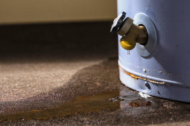 Best Water damage restoration near me  in Vicksburg, MI