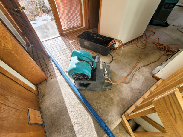 Best 24-hour water damage restoration  in Vicksburg, MI