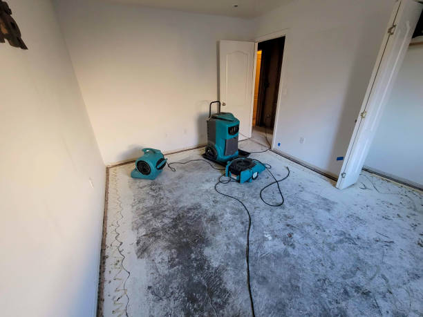 Best Emergency water damage restoration  in Vicksburg, MI