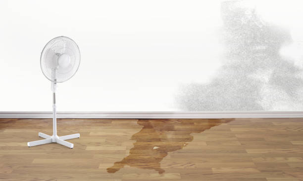 Best Professional water damage repair  in Vicksburg, MI
