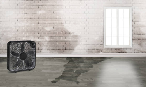 Water damage restoration experts in Vicksburg, MI