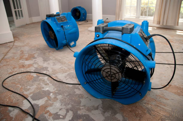 Best Flood restoration services  in Vicksburg, MI