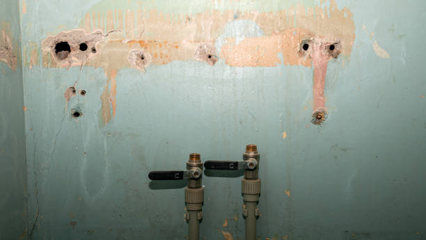 Best Water damage restoration near me  in Vicksburg, MI