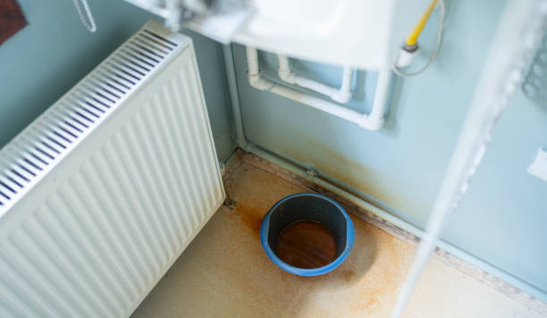 Best Carpet water damage restoration  in Vicksburg, MI