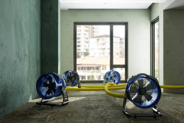Best Flood restoration services  in Vicksburg, MI