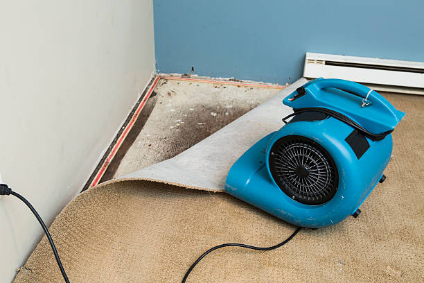 Best Basement water damage restoration  in Vicksburg, MI
